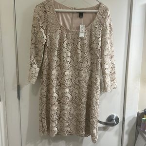 White House Black Market Gold Lace Shift Dress, size 12